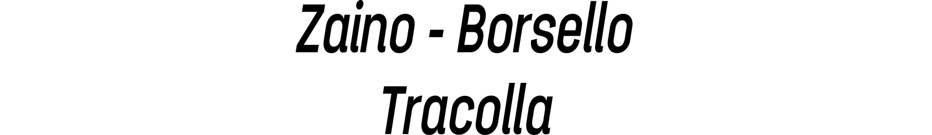 Zaino - Borsello - Tracolla
